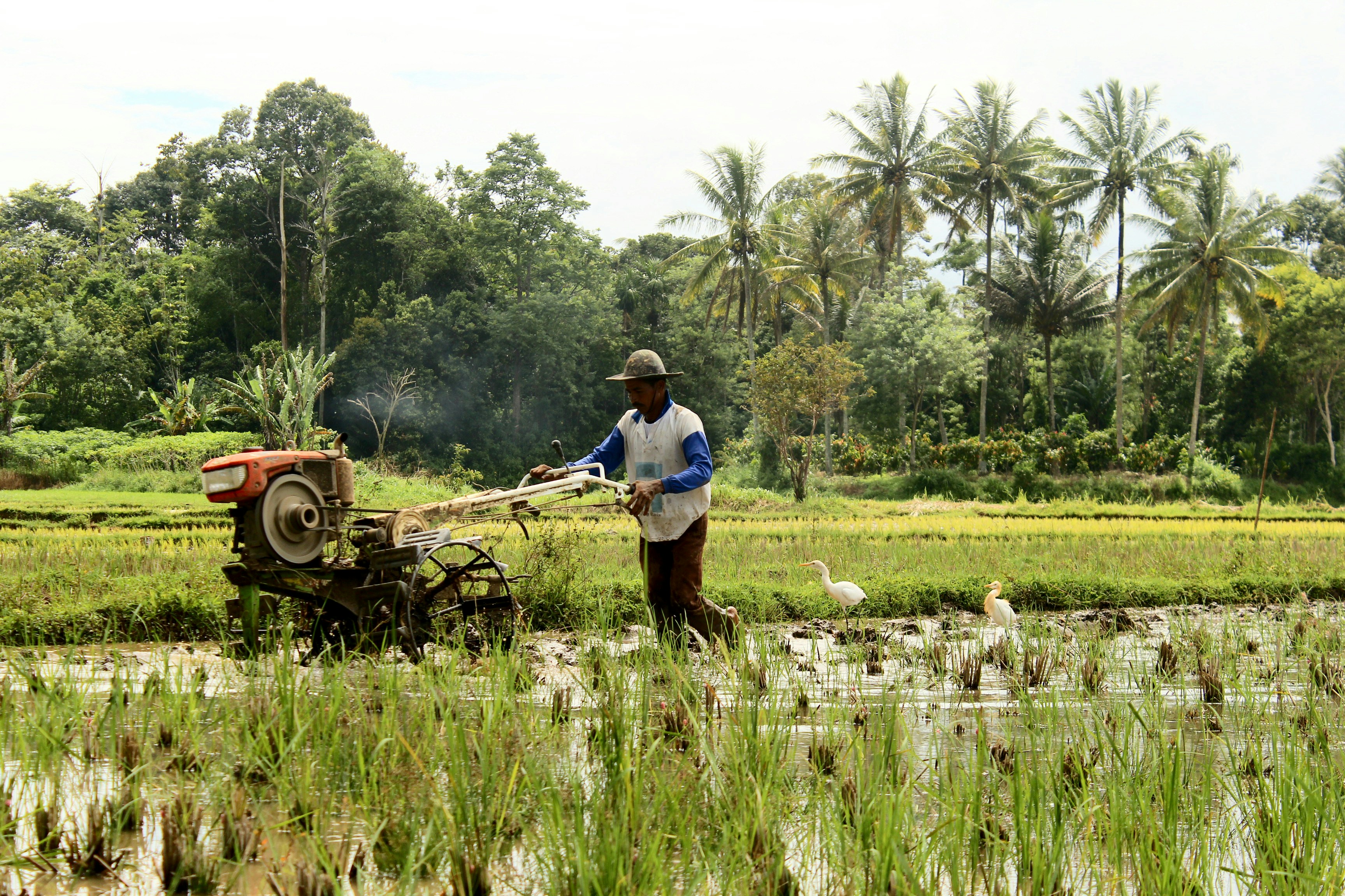 Agriculture Exhibition